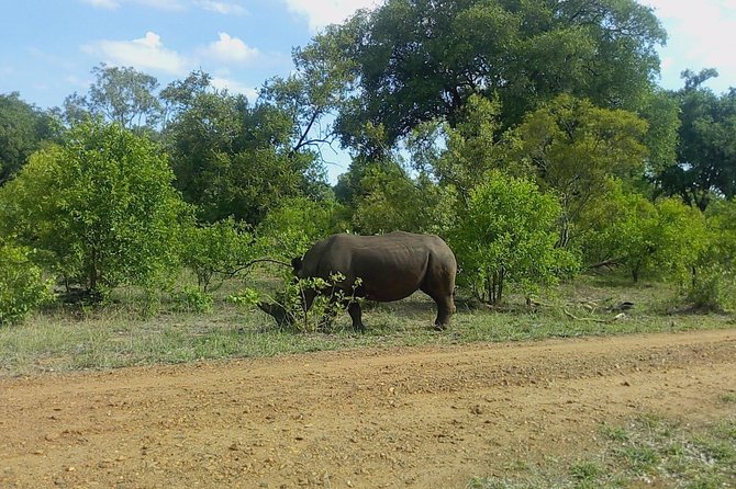 Rhino & Nature Walk in the Musiotunya National Park