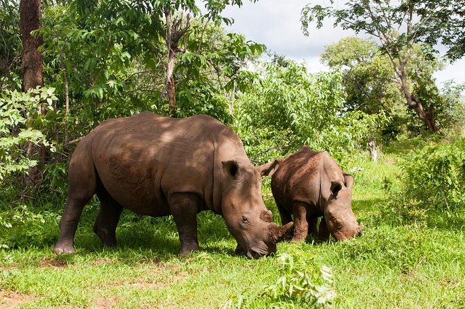 Rhino Walking Safari at Mosi-oa-Tunya National Park - Additional Information
