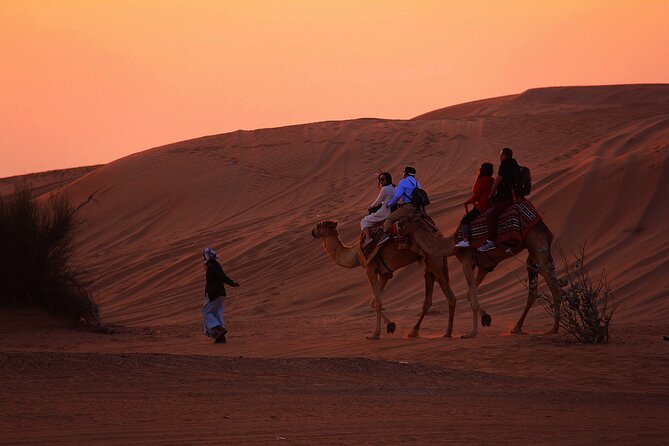 Riding a Camel West of Luxor - Unforgettable Camel Trekking Experience