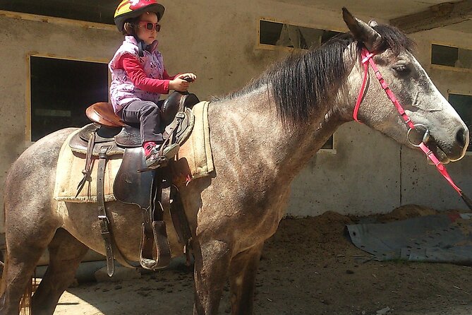 Rila National Park Horse Riding Adventure - Cancellation Policy Details