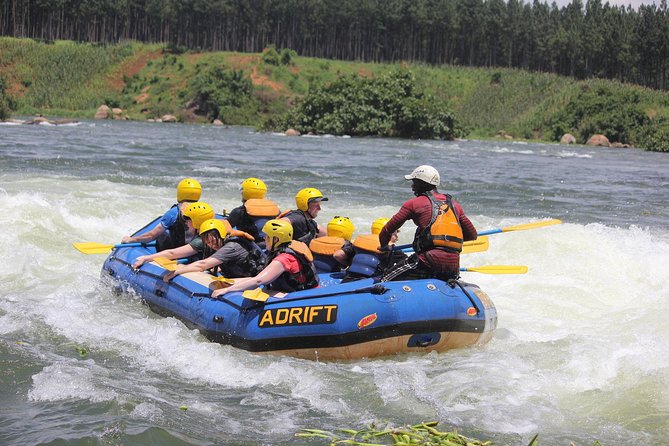 River Nile White Water Rafting Adventure 1 Day Tour - Highlights