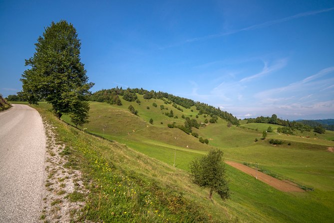 Road Cycling Tour Slovenia - Pricing and Cancellation Policy