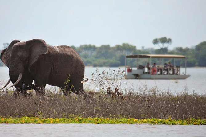 Ruaha, Selous/Nyerere, Mikumi National Parks From Dar Es Salaam - Good To Know