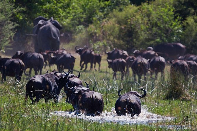 Saadani National Park Day Trip From Dar Es Salaam - Review Verification and The Sum Up