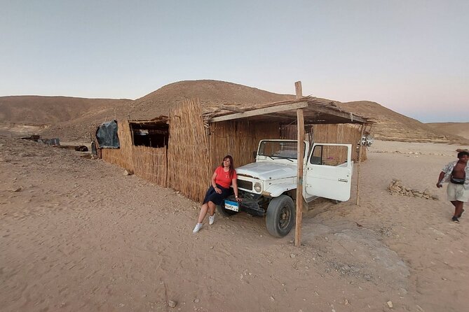 Safari Adventures and Stars Gazing by Van- Hurghada - Tour Highlights