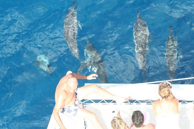 Sailing Catamaran Cruises - Additional Information