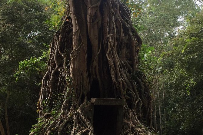 Sambor Prei Kuk Off Beaten Track - Overview of Sambor Prei Kuk