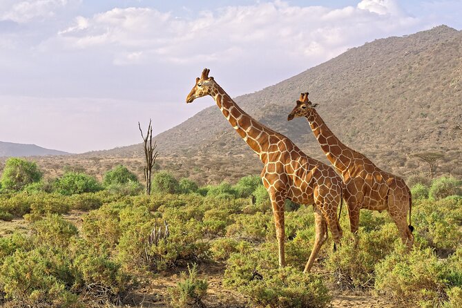 Samburu, Aberdare and Maasai Mara Adventure 11days/10nights. - Additional Travel Information