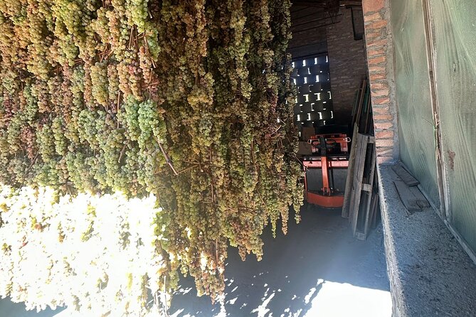 San Gimignano and Chianti Wine Tasting Tour From Florence - Tour Schedule and Additional Information