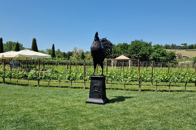 San Gimignano and Siena Private Wine Tasting Tour With Lunch - Inclusions and Amenities
