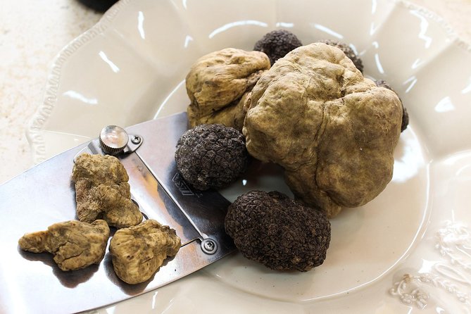 San Gimignano Truffle Hunt & Truffle Cooking Class - Meeting and Pickup Information