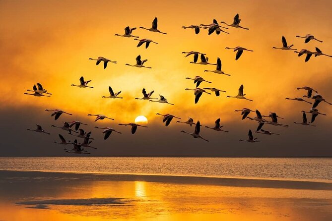Sandwich Harbour 4x4 Private Guided Tour - Your Very Own Private Tour! - Pickup Options