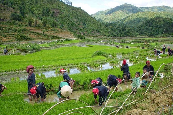 Sapa Real Experience 2 Days 1 Night at Local People House - Inclusions and Experiences