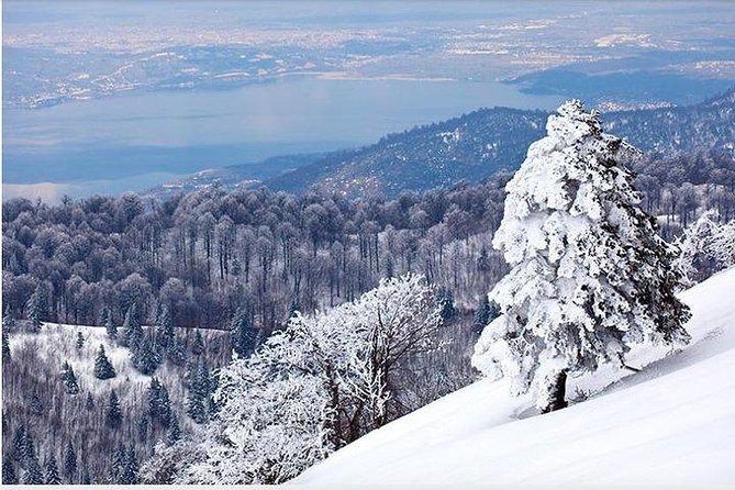 Sapanca Masukiye Zoo Private Tour From Istanbul VIP Minivan Best Quality - Included Activities