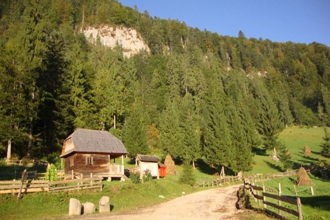 Scarisoara Ice Cave - One Day Car Tour From Oradea - Tour Inclusions
