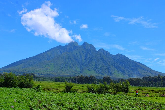 Scenic Walk Around Volcanoes - Booking Details