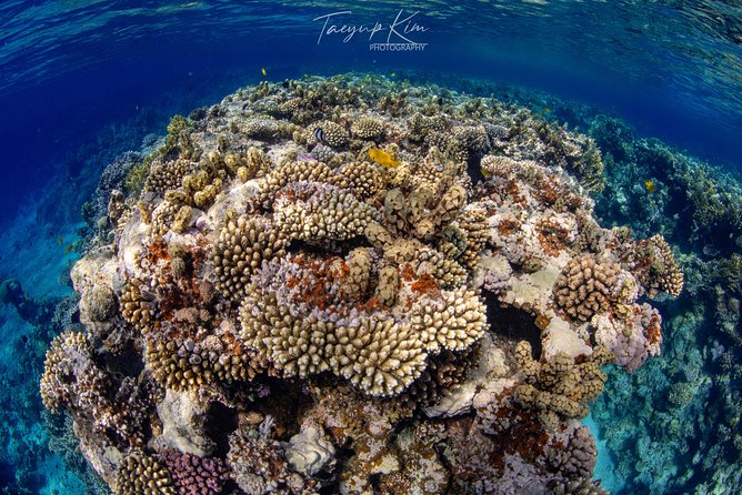 Scuba Diving for Certified Divers - What to Expect
