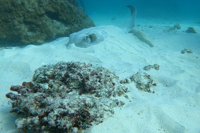 Scuba Diving in Muscat - Inclusions and Price