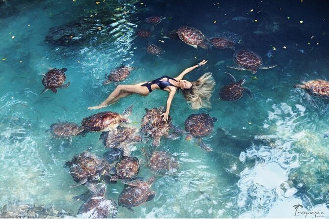 Sea Turtles Aquarium, Fishermans Village and Dhow Sunset Cruise - Sunset Cruise on a Dhow