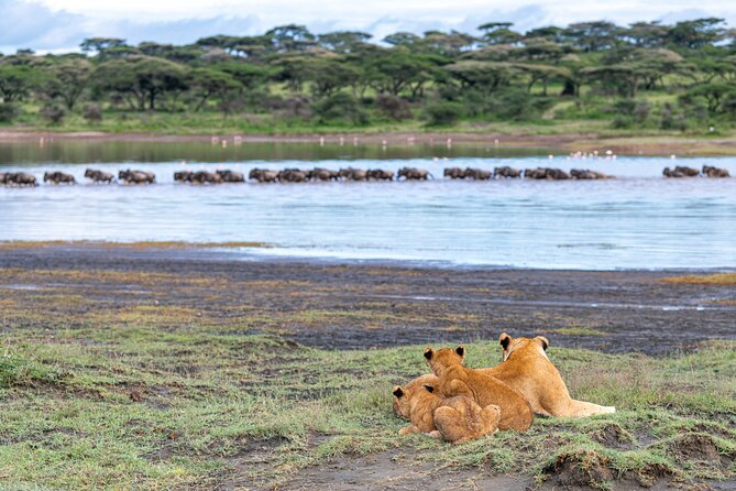 Serengeti Inside Out - Operated by Beach & Safari Holidays