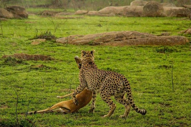 Serengeti & Ngorongoro 3 Days Fly Safari in From Zanzibar - Accommodations Details