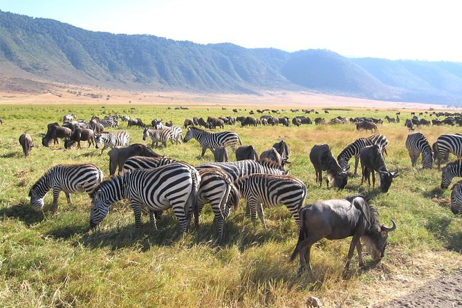 Serengeti Tour – 7days/6 Nights (4 Stars Accommodations) - Inclusions and Exclusions