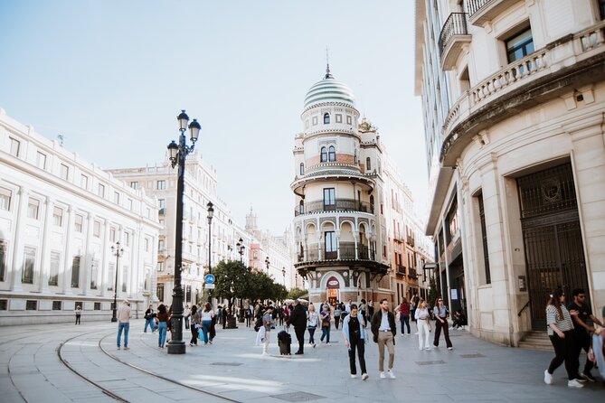 Seville City Exclusive Guided Tour - Accessibility Details