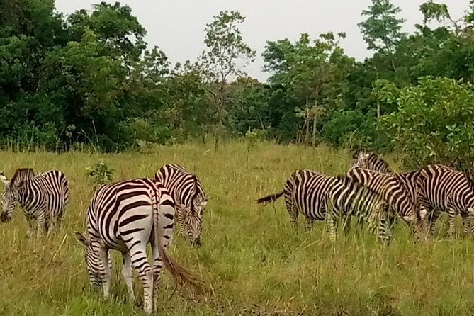 Shai Hills Safari & Aburi Gardens Tour - Itinerary Details