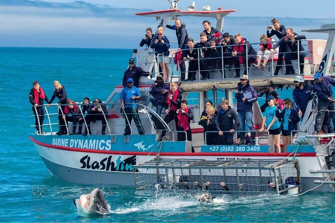 Shark Cage Diving With Transport From Cape Town - Confirmation and Refund Policy