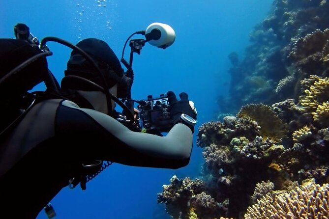 Sharm El Sheikh: Ras Mohamed, White Island, Snorkel and Diving - Snorkeling Stops