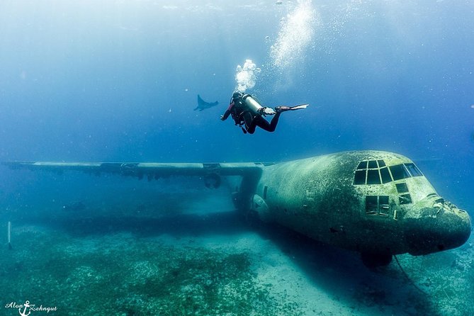 Shore Certified Diving - Two Dives - Reviews