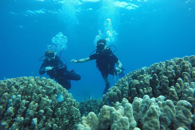 Shore Discover SCUBA Diving/Introductory Diving - One Dive - Meeting Point Details