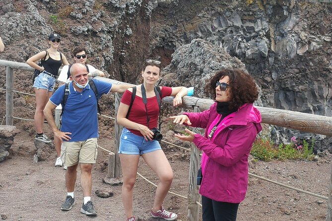 Shore Excursion Vesuvius and Site of Herculaneum (6 Hrs) - Whats Included