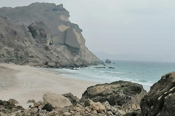 Shore Time at Al Fuzaiyah Beach /Half Day Guided Tour. - Inclusions and Exclusions