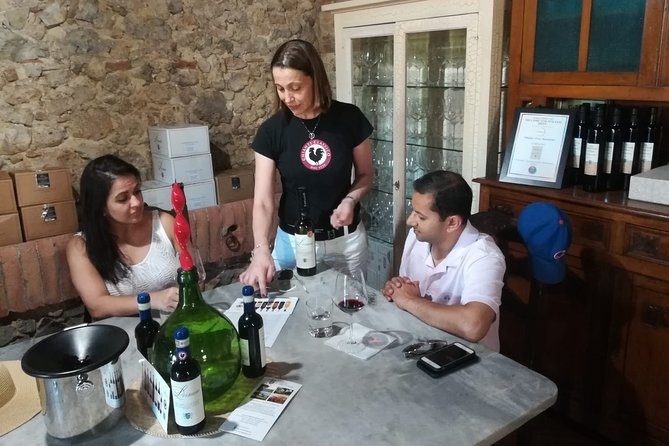 Siena Monteriggioni San Gimignano With Lunch&Winetasting Full Day From Rome - Tour Highlights