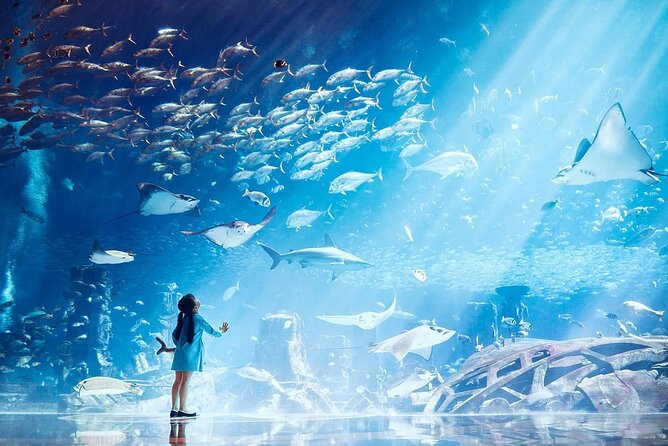 Skip The Line: Atlantis The Lost Chambers Aquarium - Reviews