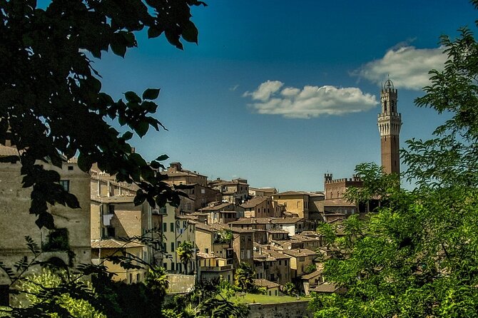 Skip-The-Line Private Tour of Leaning Tower & Pisa Highlights With Local Guide - What To Expect