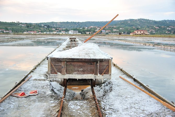 Skocjan Caves & Secovlje Salt Pans | Private off Cruise Excursion From Koper