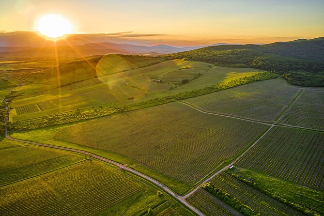 2 Best Wine Tours In Slovakia
