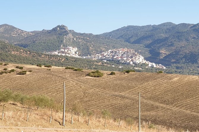 Small-Group Day Trip From Fez to the Middle Atlas Mountains