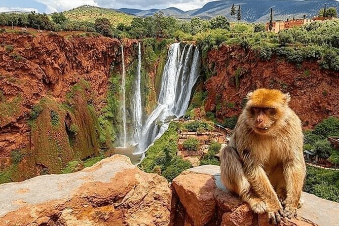 Small Group Ouzoud Waterfall Guided Tour Boat Ride From Marrakech - Tour Overview