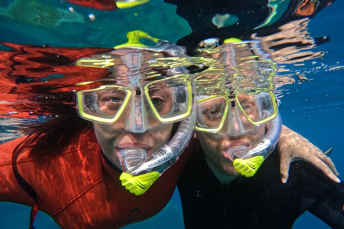 Small Group Snorkeling in Abades Bay With Licensed Guide - Pricing and Booking Information