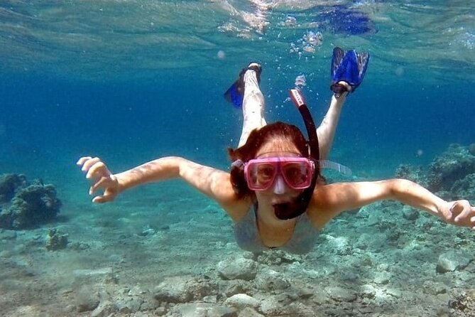 Snorkeling Activity in Aqaba With Lunch and Transportation (Boat)