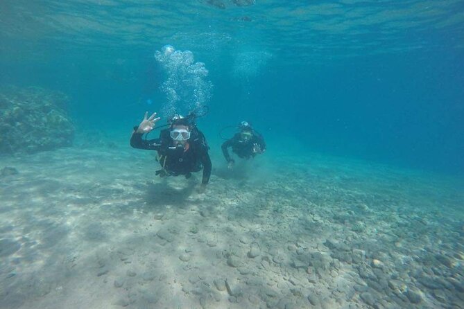 Snorkeling at Ras Mohamed in Sharm El Sheikh - Best Time to Snorkel at Ras Mohamed