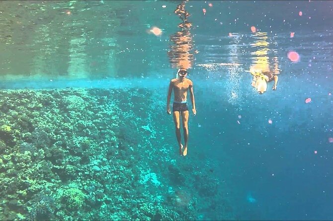 Snorkeling at Sharm El Luli Beach in Marsa Alam