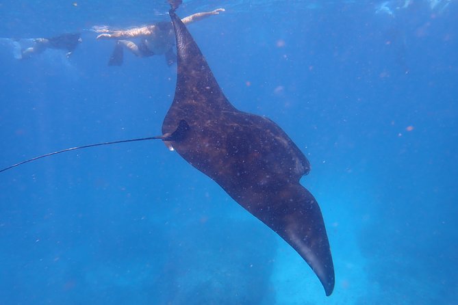 Snorkeling Day Trip To Lembongan and Penida - Departure Points