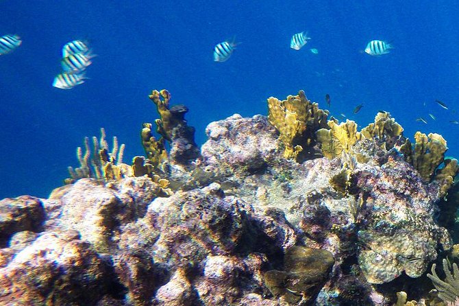 4 Best Snorkeling Experiences In Safaga