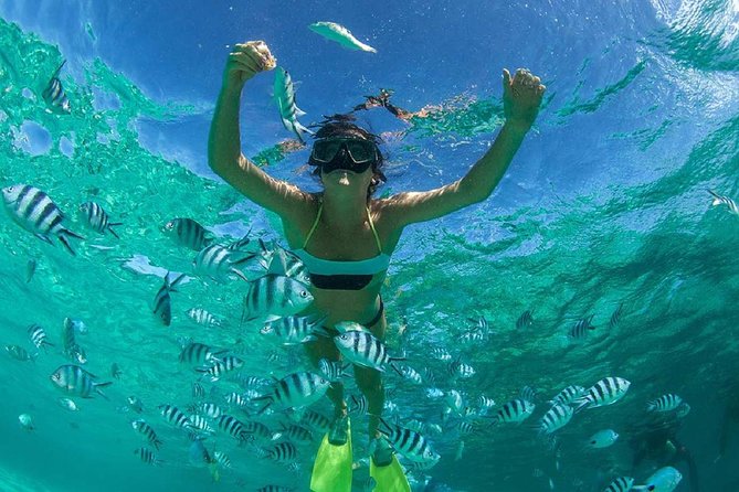Snorkeling Trip From Muscat - Pricing Details