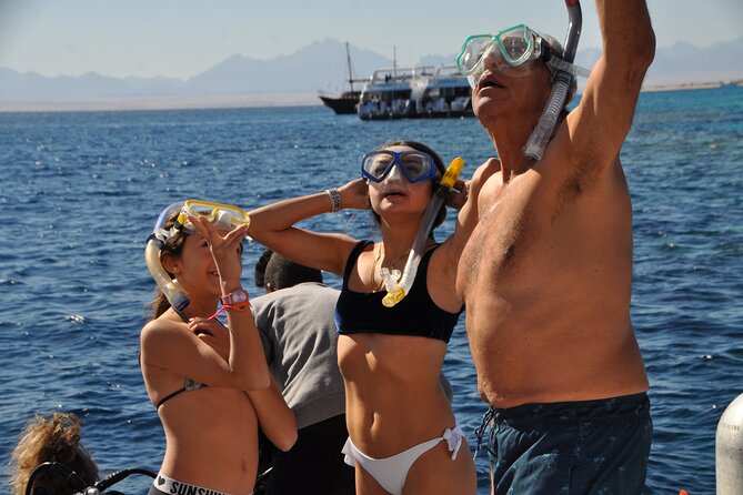 Snorkelling VIP Tour to Dolphin House - Tour Location