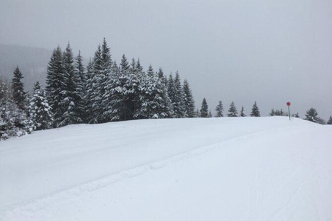 Snowshoeing in Lesser Caucasus and Winter Hiking in Old Villages - Meeting and Pickup